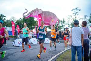 BIB: 
                            <button type="button" onclick="openModal(26551646)" class="btn btn-primary btn-sm float-right btn-popup" data-toggle="modal" data-target=".modal-high-quality">
                        <i class="fas fa-shopping-cart"></i> Add to Cart
                    </button>
                                            <button type="button" onclick="isThisMe(26551646, true)" class="btn btn-success btn-sm float-right btn-popup btn-isme hidden" data-toggle="tooltip" data-placement="bottom" title="นี่คือรูปของคุณใช่ไหม คลิกที่นี่เพื่อเอาเข้าอัลบั้ม">
                        <i class="fas fa-plus"></i> Add to album
                    </button>
                    <button type="button" onclick="isThisMe(26551646, false)" class="btn btn-warning btn-sm float-right btn-popup btn-isnotme hidden">
                        <i class="fas fa-ban"></i> Remove from album
                    </button>